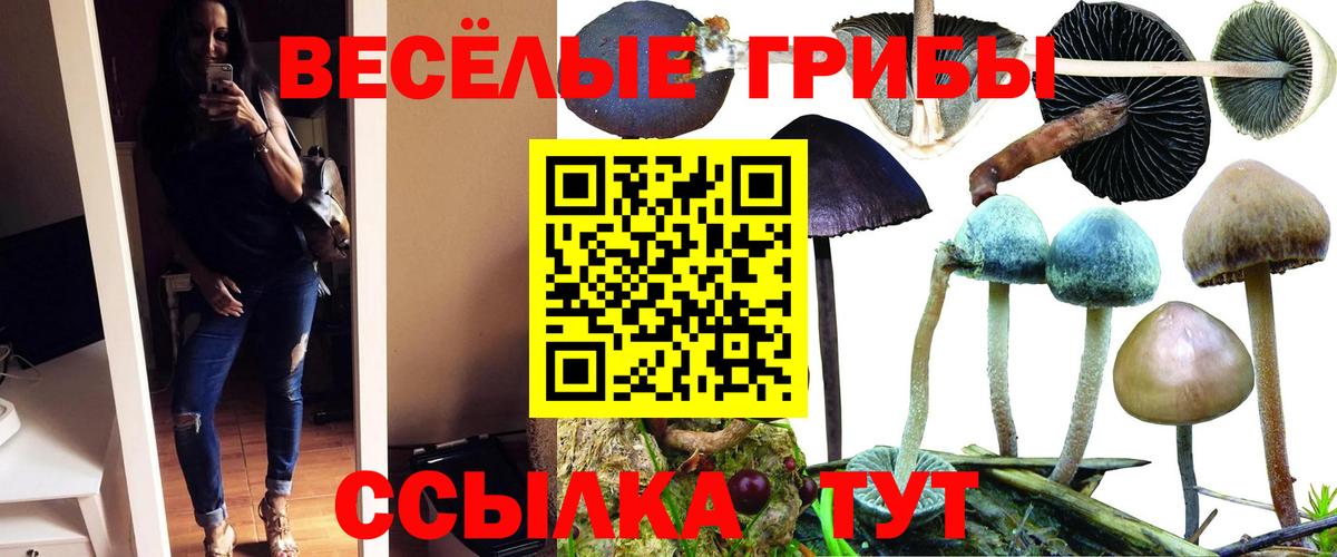 Кинешма  Псилоцибиновые грибы Magic Shrooms  Вход с VPN 